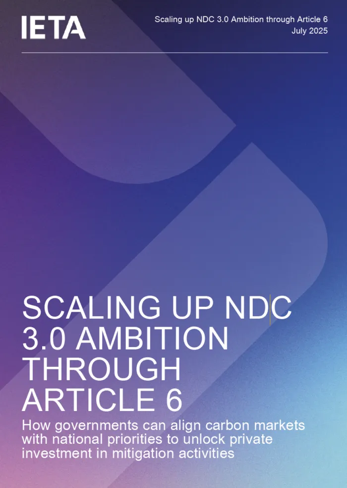 Scaling up NDC 3.0 ambition though Article 6