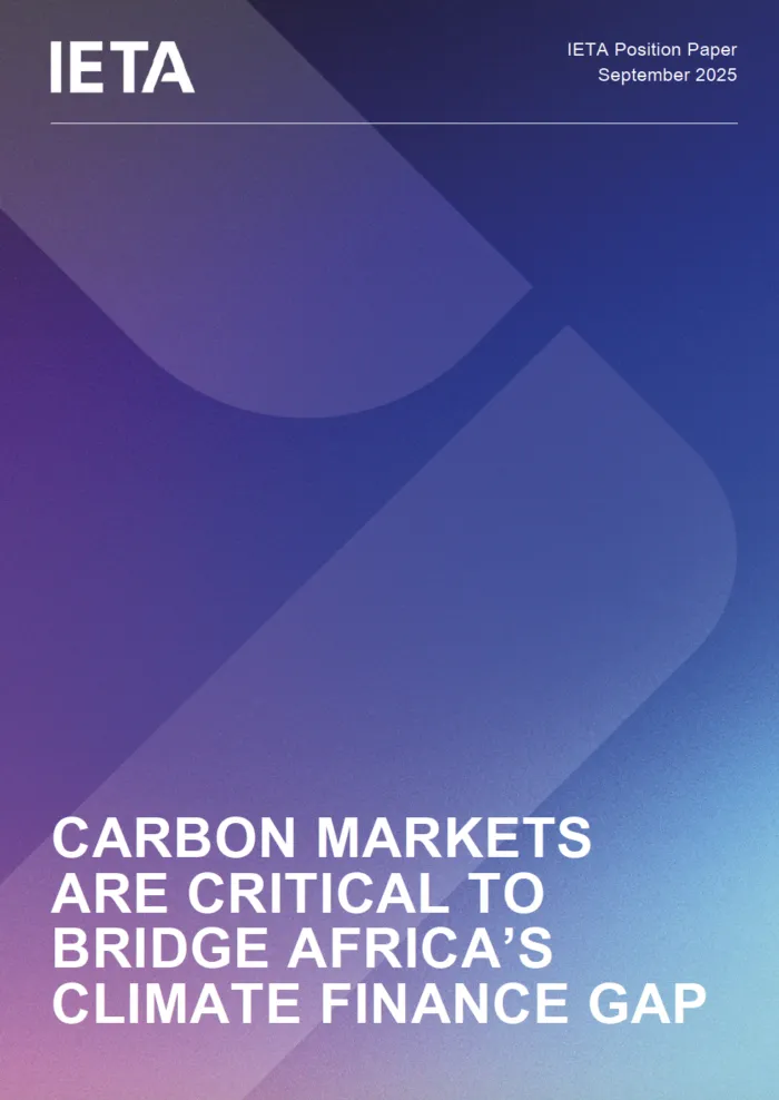 CARBON MARKETS ARE CRITICAL TO BRIDGE AFRICA’S CLIMATE FINANCE GAP
