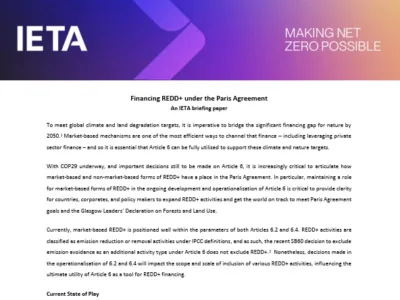 Financing REDD+ under the Paris Agreement: An IETA briefing paper