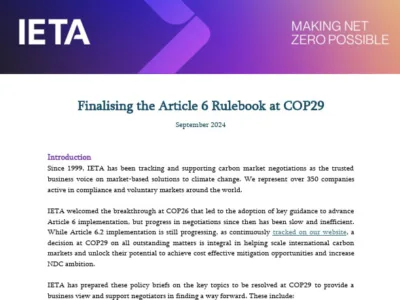 IETA Article 6 Policy Briefs Ahead of COP29 – Full Paper