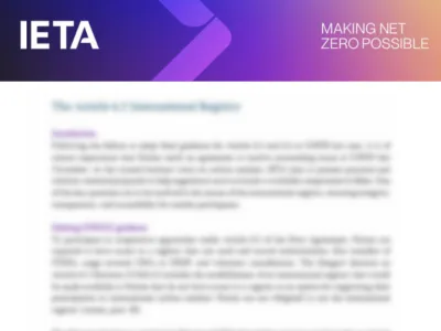IETA Article 6 Discussion Paper on How Governments Can Implement NDCs Cooperatively and Encourage Private Sector Investment - 2nd edition