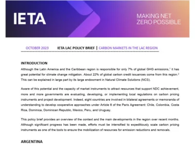 IETA LAC Policy Brief