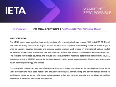IETA MENA Policy Brief