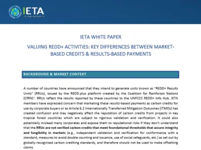 IETA White Paper: Valuing REDD+ activities: key differences between market-based credits & results-based payments