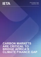 CARBON MARKETS ARE CRITICAL TO BRIDGE AFRICA’S CLIMATE FINANCE GAP