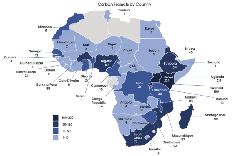 CARBON MARKETS ARE CRITICAL TO BRIDGE AFRICA’S CLIMATE FINANCE GAP