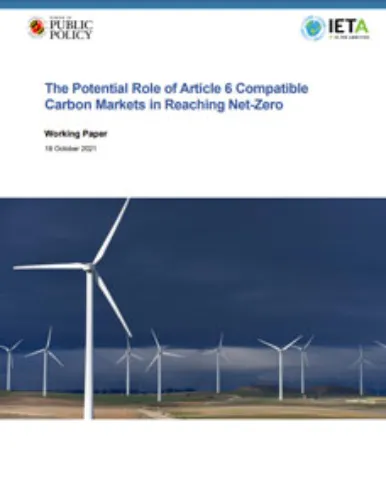 Download - The Potential Role of Article 6 Compatible Carbon Markets in Reaching Net-Zero (2021)