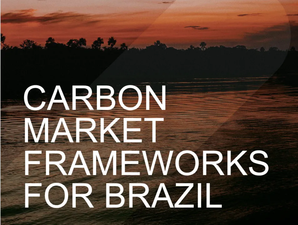 CARBON MARKET FRAMEWORKS FOR BRAZIL