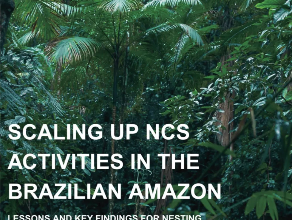 OGCI and IETA publish findings from ALMA Brasil project