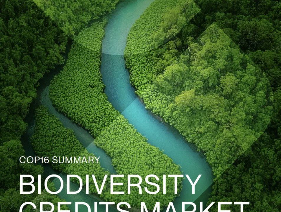COP16 Summary Report: Biodiversity Credits Market Analysis