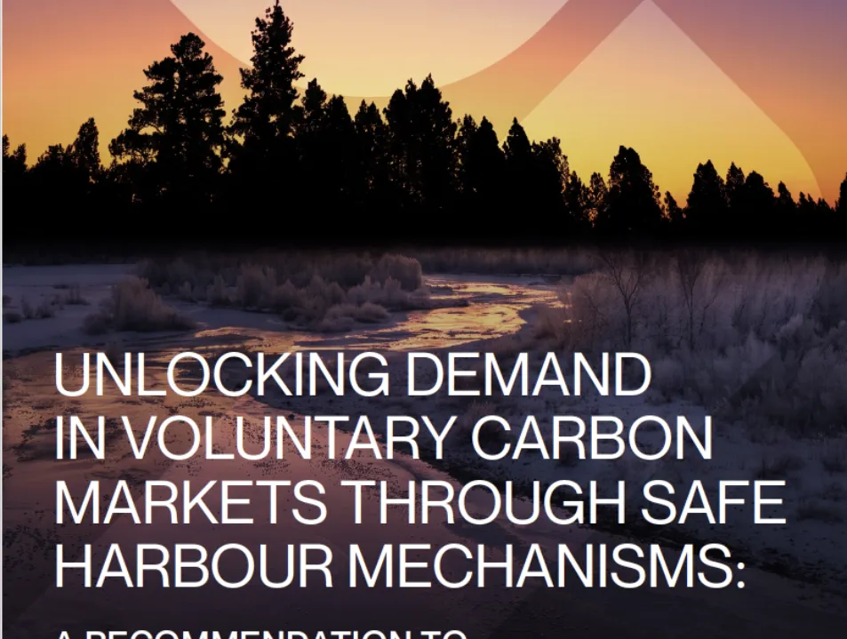 IETA calls on governments to offer “safe harbour” to companies using carbon credits