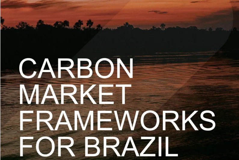 CARBON MARKET FRAMEWORKS FOR BRAZIL