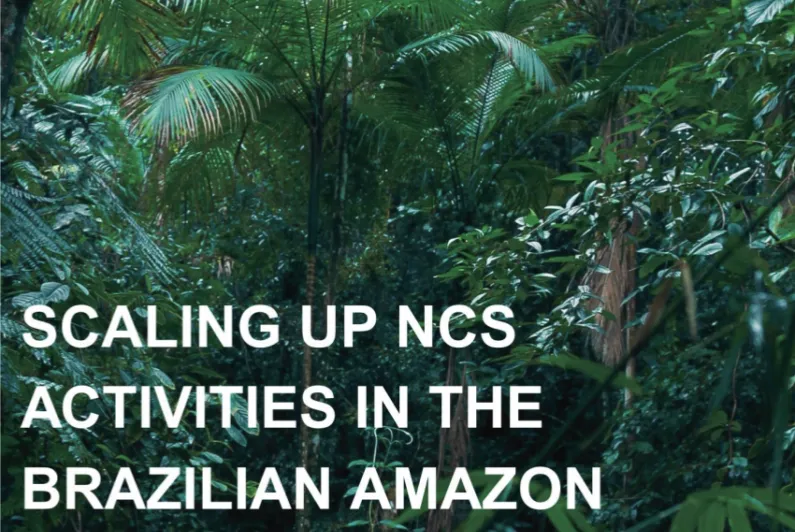 OGCI and IETA publish findings from ALMA Brasil project