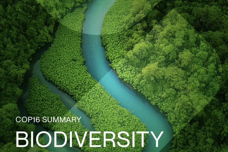 COP16 Summary Report: Biodiversity Credits Market Analysis
