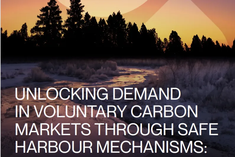 IETA calls on governments to offer “safe harbour” to companies using carbon credits
