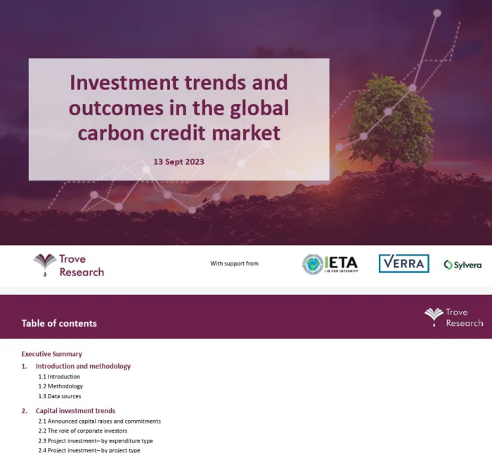Investment trends and outcomes in the global carbon credit market