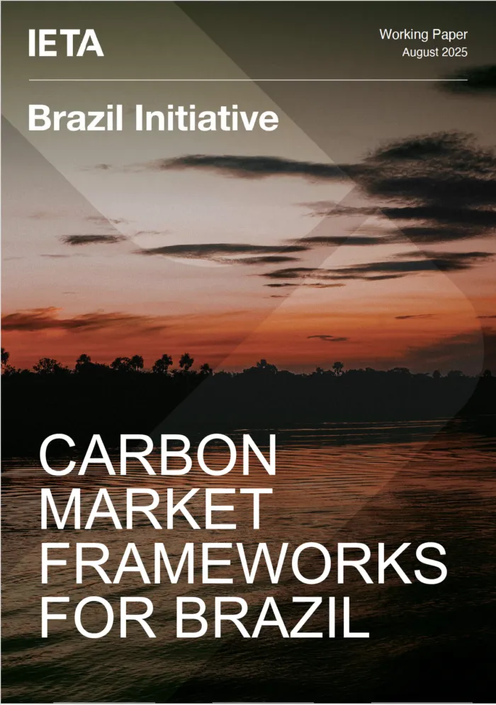 CARBON MARKET FRAMEWORKS FOR BRAZIL