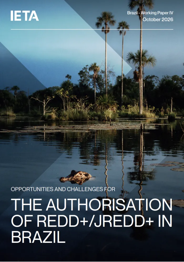 Opportunities and Challenges for REDD+ / JREDD+ Authorisation in Brazil