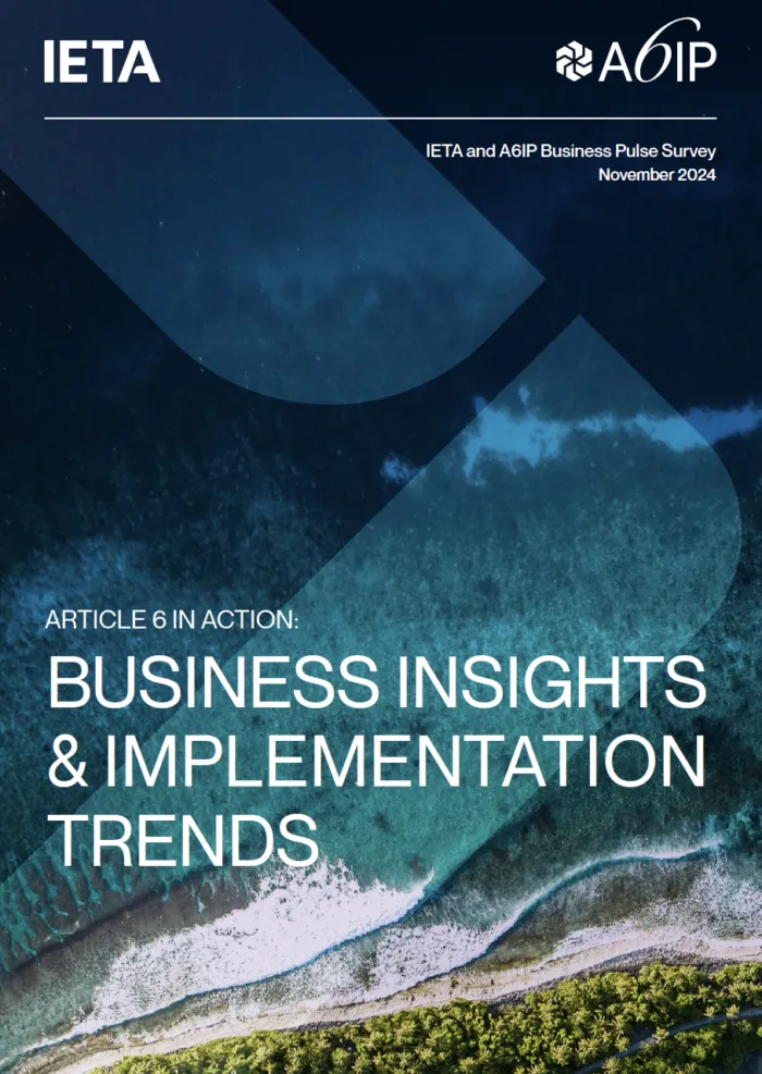 Article 6 in Action:  BUSINESS INSIGHTS & IMPLEMENTATION TRENDS