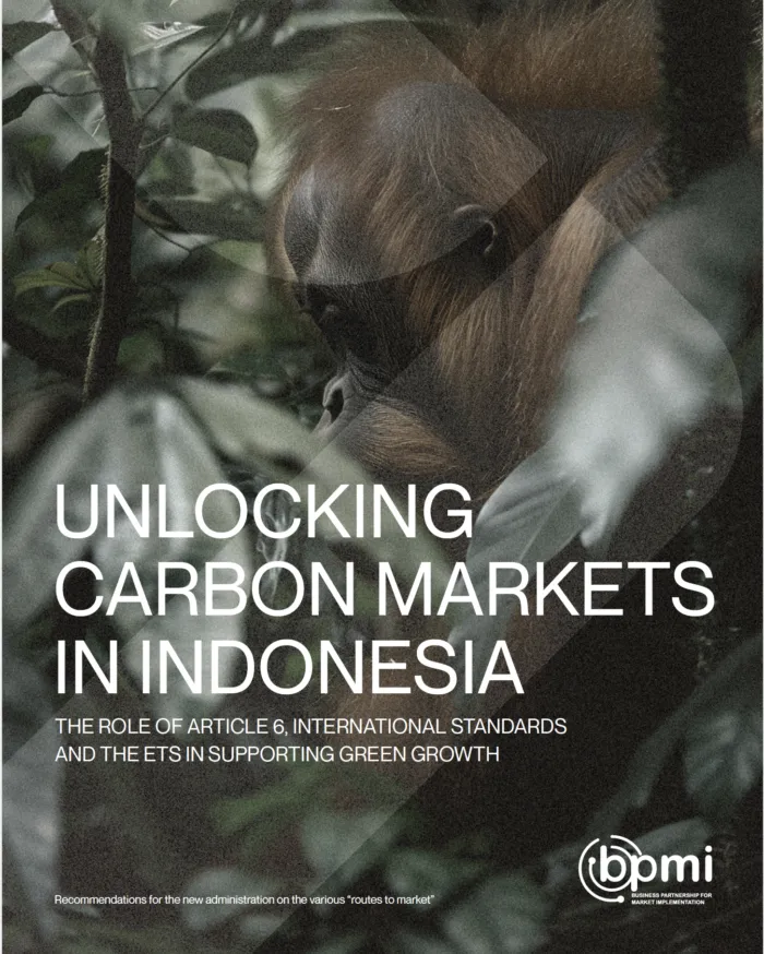 Unlocking Carbon Markets in Indonesia