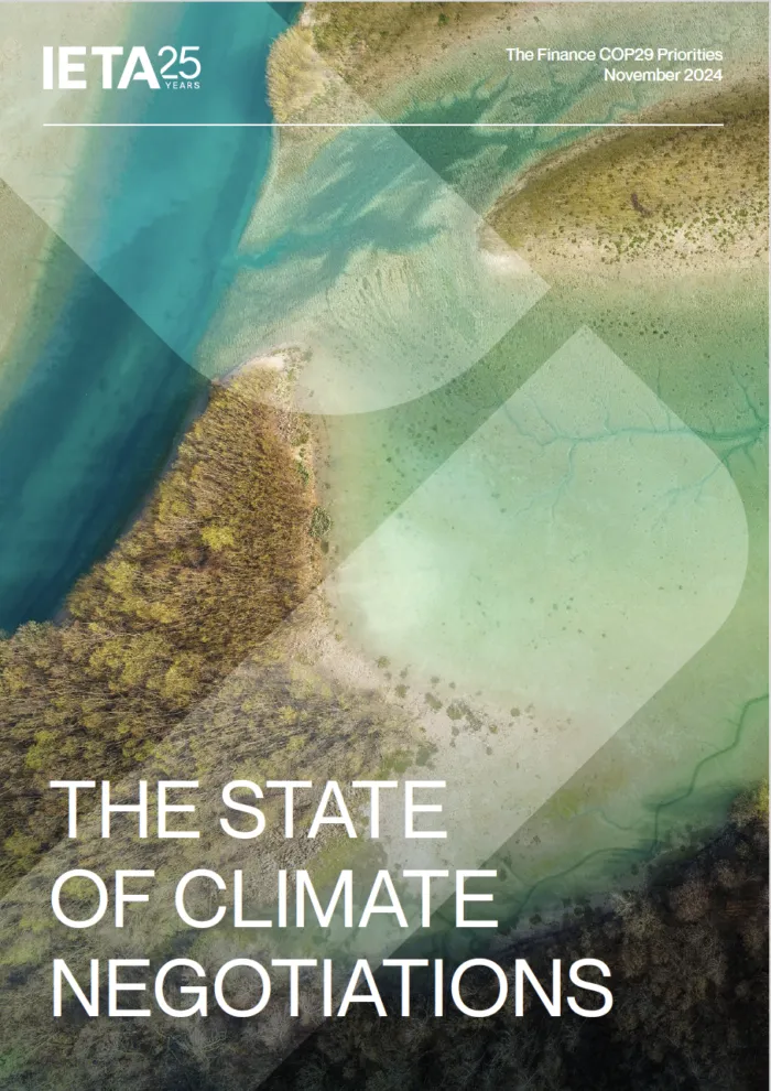 IETA COP29 Priorities