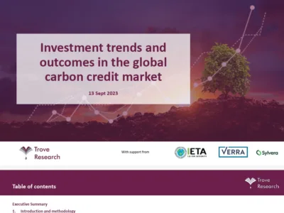 Investment trends and outcomes in the global carbon credit market