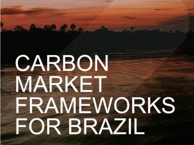CARBON MARKET FRAMEWORKS FOR BRAZIL