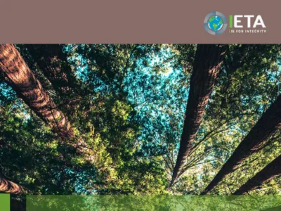 The Evolving Voluntary Carbon Market Paper