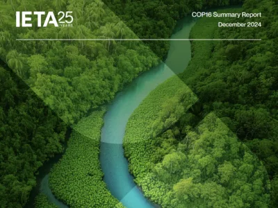 COP16 Summary Report: Biodiversity Credits Market Analysis