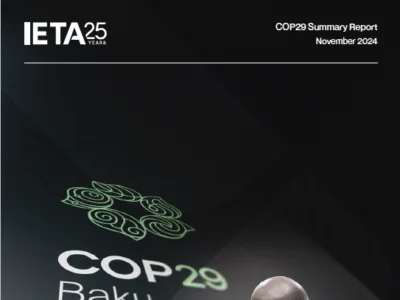 COP29 Summary Report: Progress and Partnerships