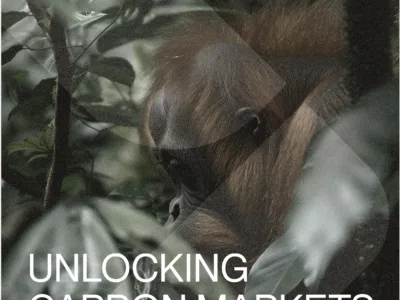 Unlocking Carbon Markets in Indonesia