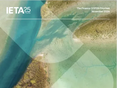 IETA COP29 Priorities