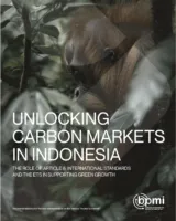 Unlocking Carbon Markets in Indonesia