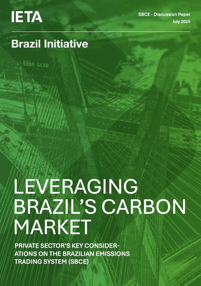 Leveraging Brazil's carbon market