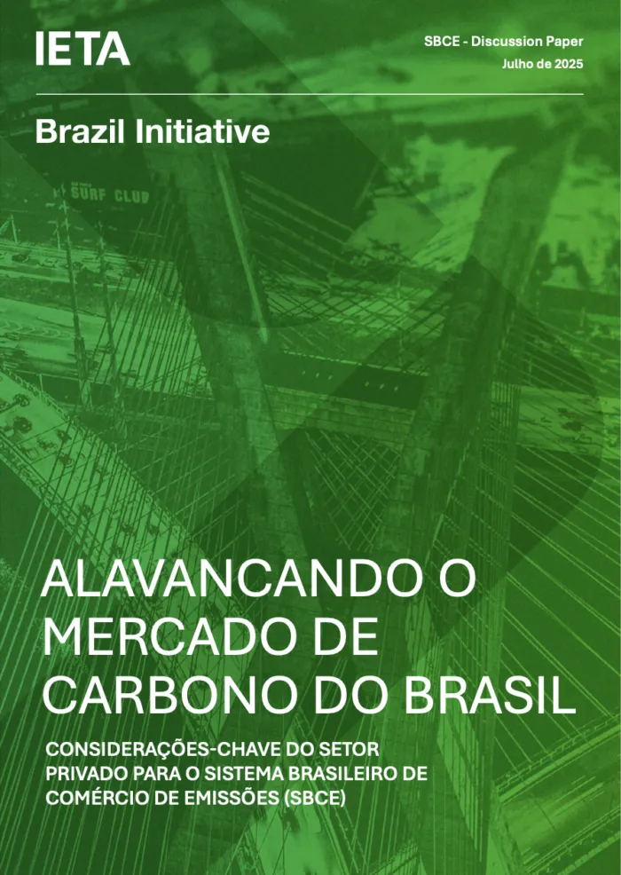 Alavancando O Mercado de carbono do Brasil