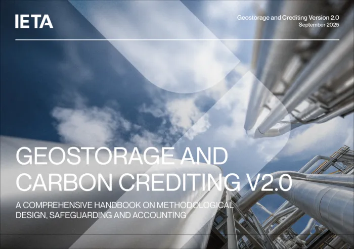 Handbook for Geostorage and Carbon Crediting 2.0