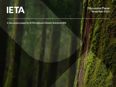IETA 2023 NCS Report: Jurisdictional & Project Approaches