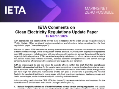 Clean Electricity Regulations Update Paper Comments- 15 March 24
