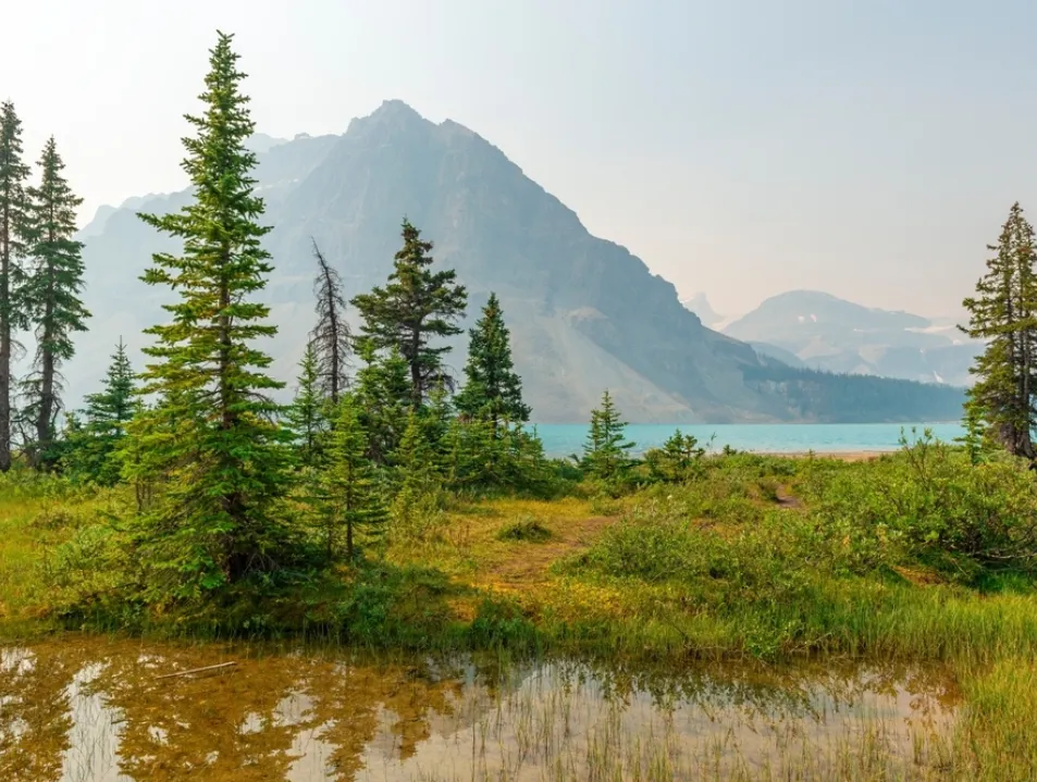 IETA welcomes Canada's initiative to develop Article 6 participation framework